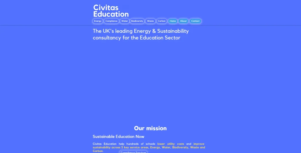 Energy_Consultancy_-_Civitas_Education_Ltd_-_www.civitasedu.org_.webp