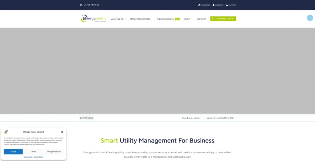 Energycentric_-_Leading_UK_Utility_Consultant_-_energycentric.co_.uk_-1.webp